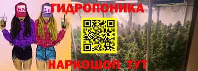 таблы Будённовск