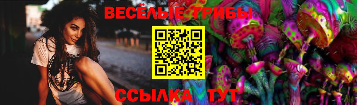 Солнечногорск  Псилоцибиновые грибы ЛСД  купить  цена  Вход с VPN 
