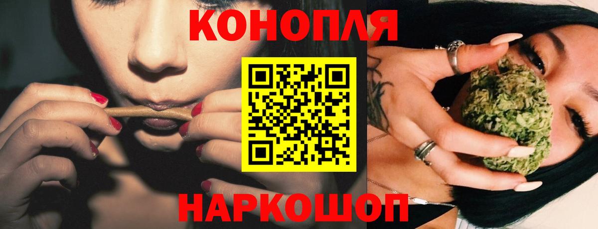 Бошки Шишки планчик  Вход с VPN  Марихуана сатива  Солнечногорск 